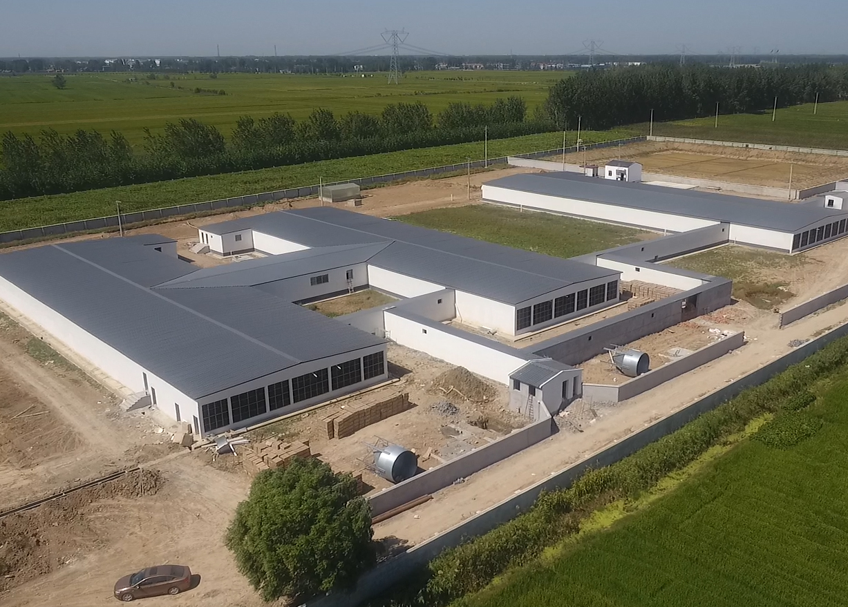 OBAntibio系统-灌云公猪站空气过滤