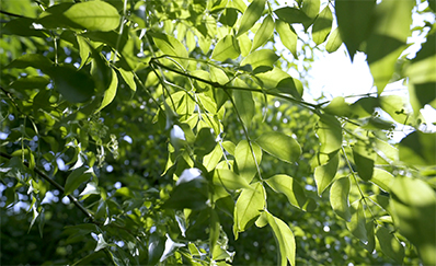 OB学堂即将启幕