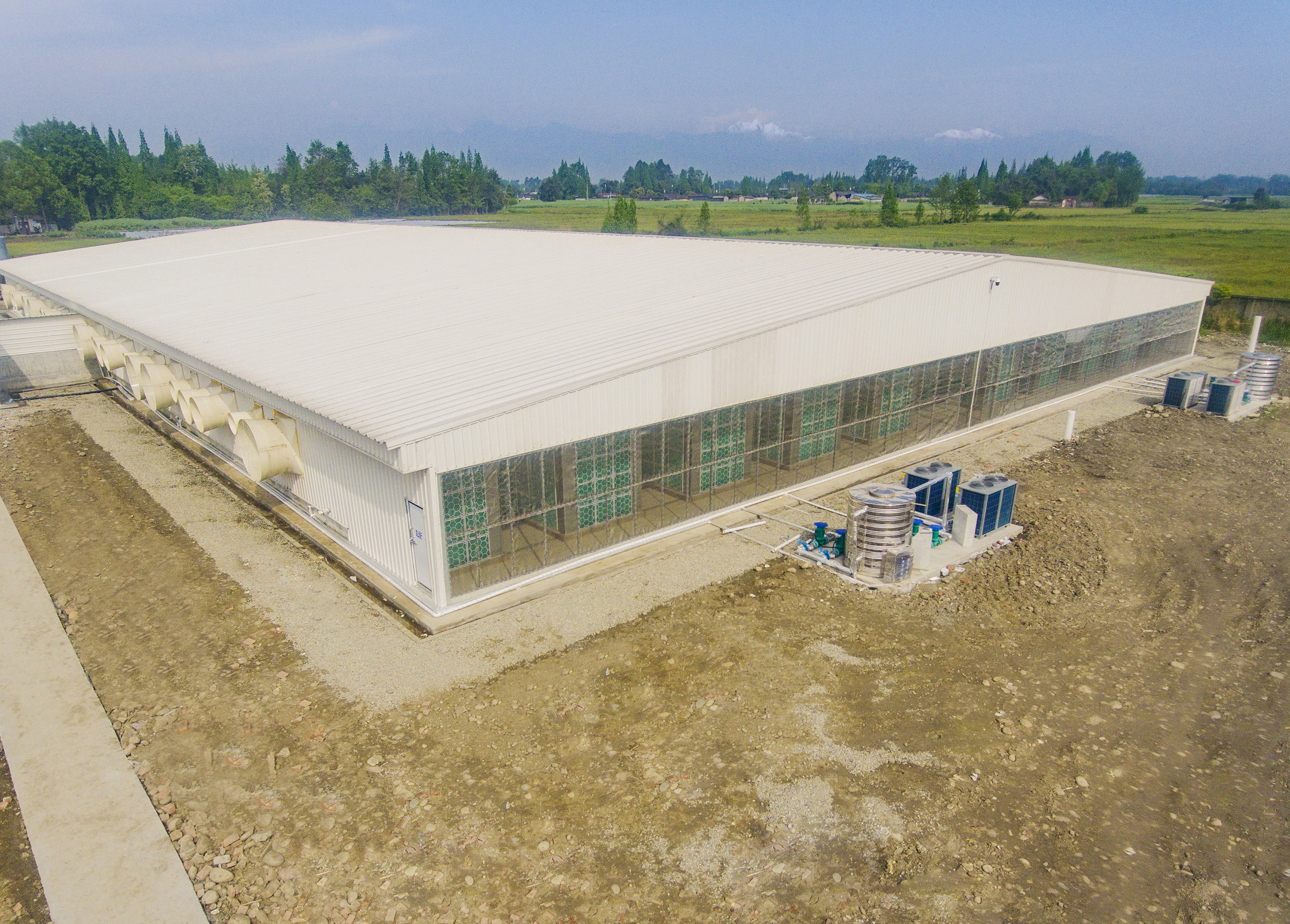 猪场空气过滤（OBAntibio系统—巨星农牧观胜育种场项目）